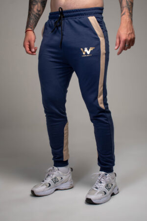 jogger turin sky gold