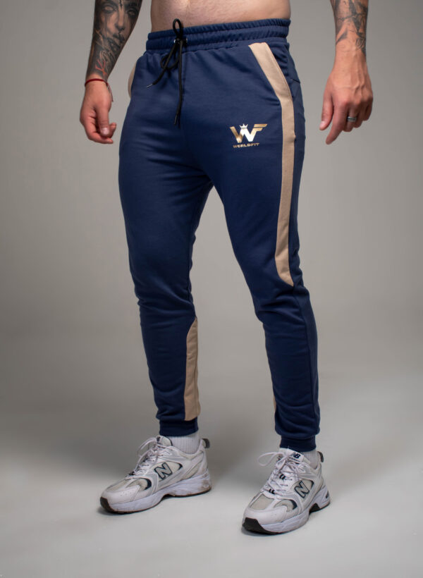 jogger turin sky gold