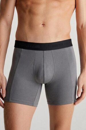 Boxer Worldfit gris